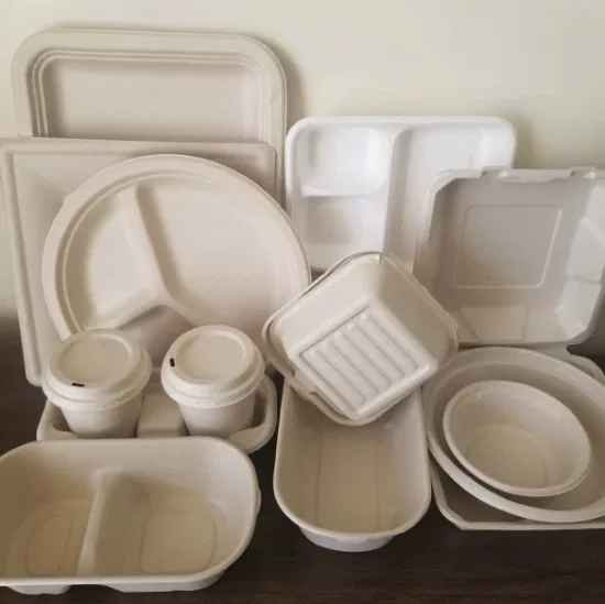 Bagasse vaisselle biodégradable récipient alimentaire canne à sucre boîte à déjeuner bol à salade Sushi plateau assiette à emporter emballage alimentaire