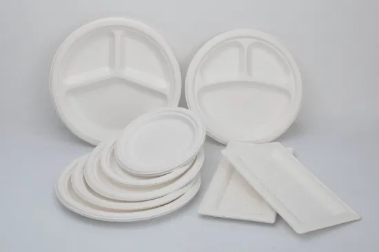 Vaisselle standard de nourriture de support de nourriture de bagasse de plats jetables de 8,75 pouces